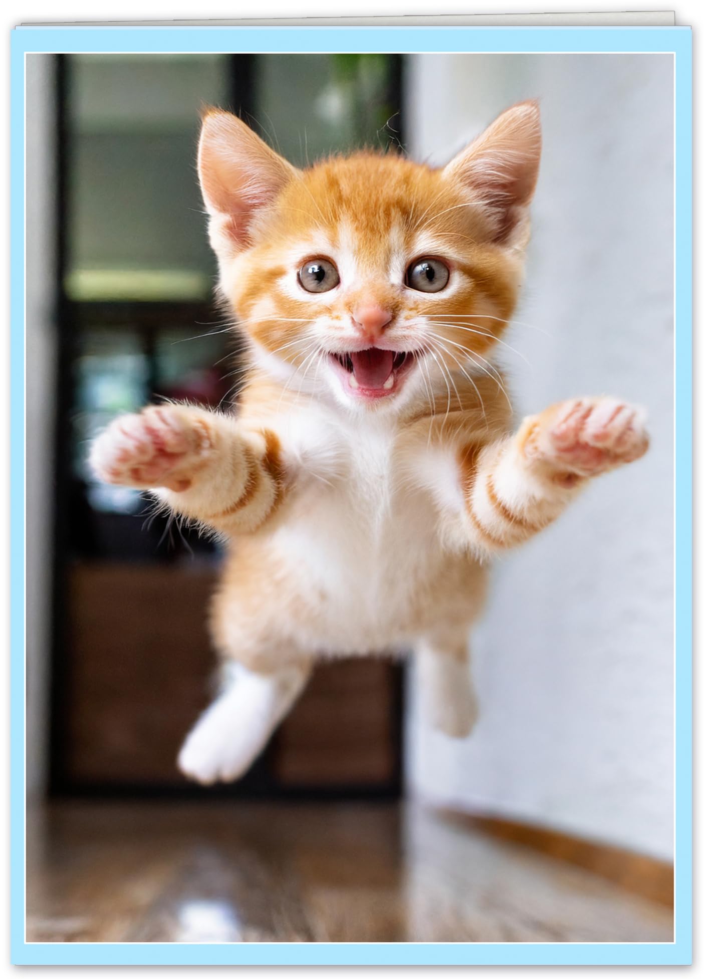 Funny Cat Birthday Hug Card
