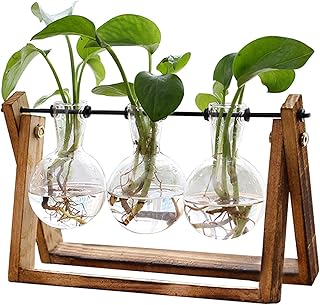 Retro Tabletop Plant Terrarium