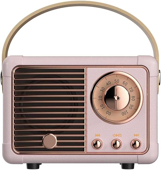 Portable Bluetooth Speaker