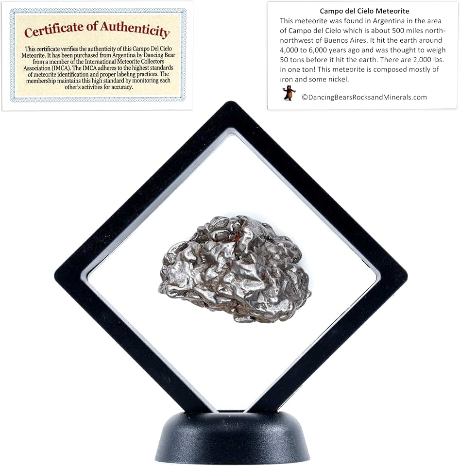 Genuine Meteorite Fragment Display