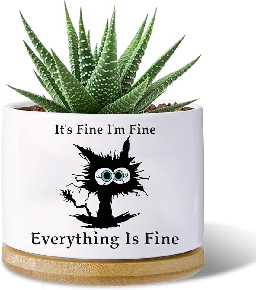 Black Cat Planter Pot