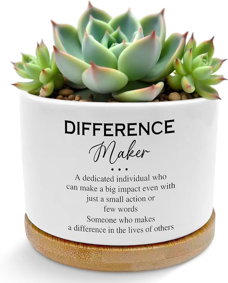 Stylish Ceramic Plant Pots (Set of 3)