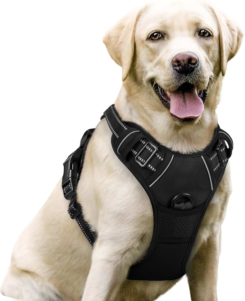 Premium Dog Walking Harness