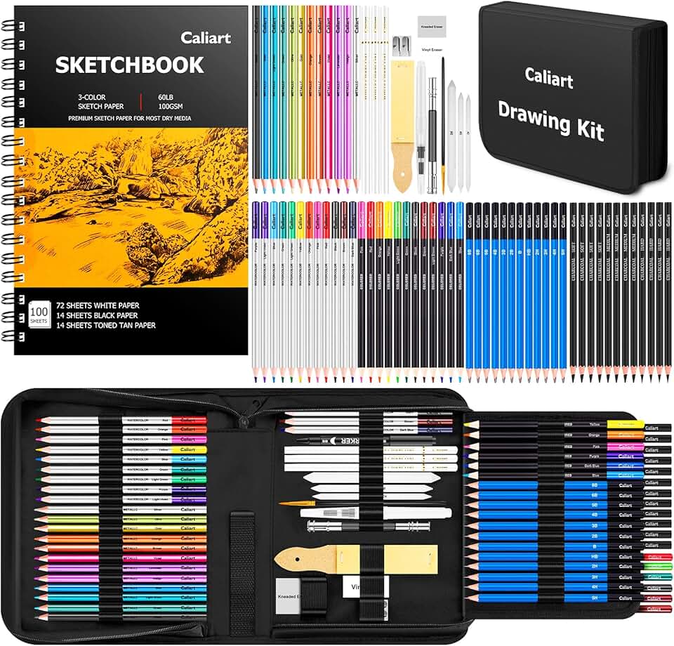 Professional Sketchbook Set