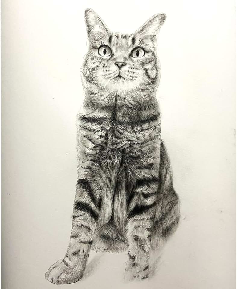 Custom Pet Portrait Art Print